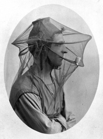 1900’lerden kalma bu bir fotoğraftaki adam, sivrisinekten korunmak için çifte tedbir almış gibi görünüyor: Hem kafasını tül perdeyle çevirmiş, hem de tül perdedeki bir delikten pipo tüttürüyor: Muhtemelen keyiften değil, sivrisinekleri dumanla uzaklaştırmak için. [Kaynak: http://blog.wellcome.ac.uk/2013/08/23/wellcome-image-of-the-week-mosquito-net-veil]
